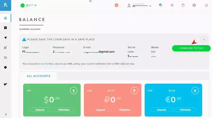 Payeer একাউন্ট ড্যাশবোর্ড