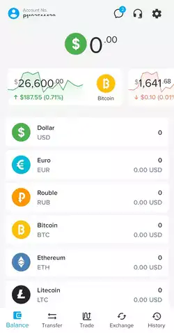 PAYEER একাউন্টের ড্যাশ বোর্ড
