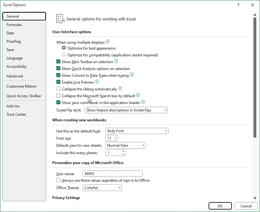 এমএস এক্সেল অপশন মেনু