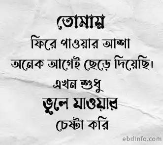 কস্টের সট্যাটাস বাংলা