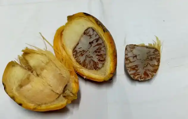 কিভাবে সুপারি খাওয়া হয়