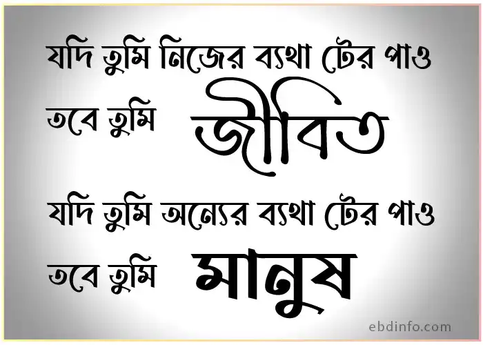 সুন্দর জীবন নিয়ে স্ট্যাটাস