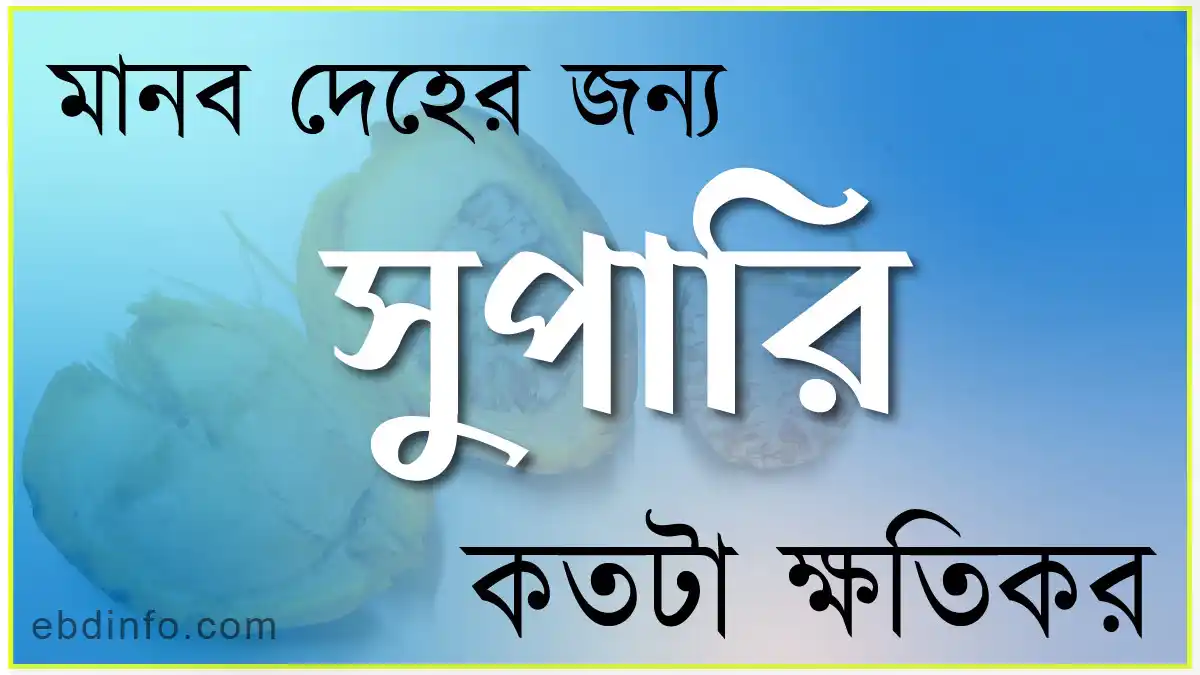 মানব দেহের জন্য সুপারি কতটা ক্ষতিকর