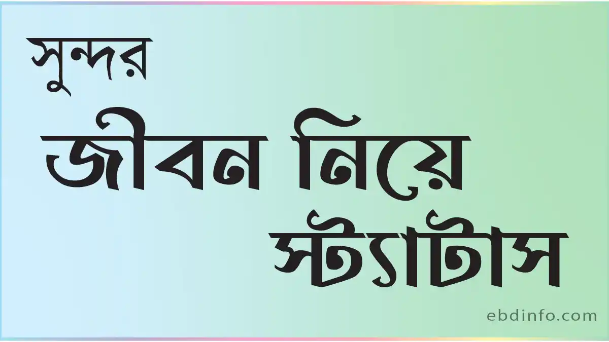 বাছাই করা সুন্দর জীবন নিয়ে স্ট্যাটাস