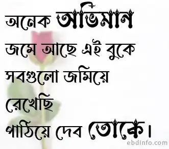 ভালোবাসার স্ট্যাটাস
