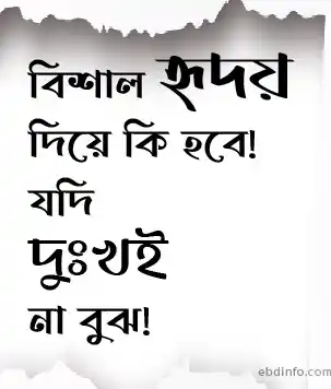 হৃদয়ের দুঃখ