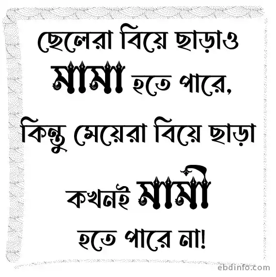বাছাই করা কিছু ফানি স্ট্যাটাস